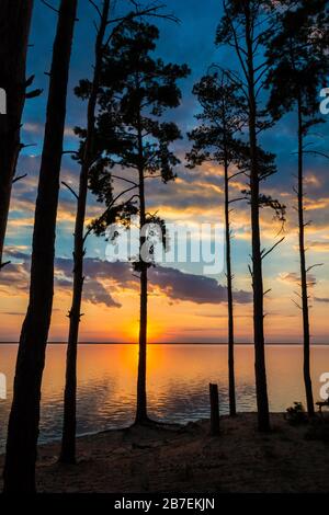 Silhouette eines Baumes vor dem Hintergrund einer exquisiten Sonnenuntergang Stockfoto