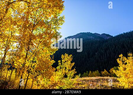 Maroon Bells Mountains bei Sonnenaufgang in Aspen, Colorado im Oktober 2019 und lebhafte Bäume Laub Herbst und Himmel Stockfoto