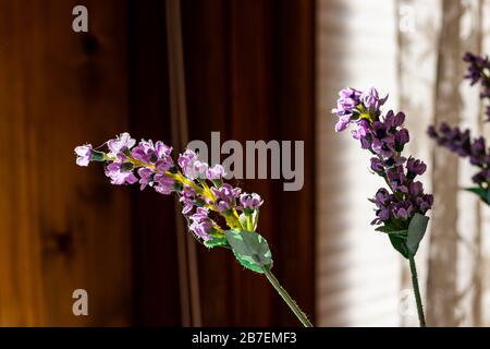 Lila Lavendelblüten Makro Close-Up-Bouquet Anordnung im Inneren der Vase Topfpflanze in der Nähe von Wandvorhängen Jalousien im Hintergrund Stockfoto