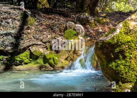 Rouvas Wald auf dem Berg Psiloritis, mit Bächen und farbenfrohen Plantagen im Frühling, auf Crete, Griechenland Stockfoto