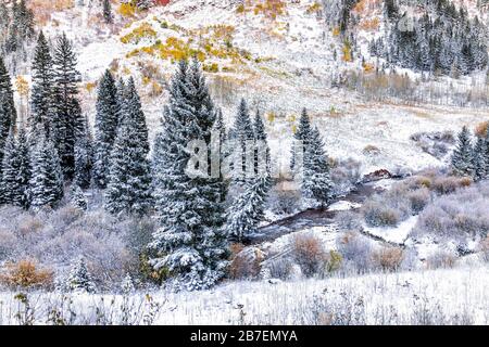 Maroon Creek River Landschaft Schnee in Aspen, Colorado Mountains im Oktober 2019 und Herbst Laub Stockfoto