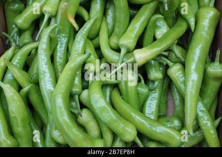 Obst und Gemüse auf biologischem Jahrmarkt-Foto Stockfoto
