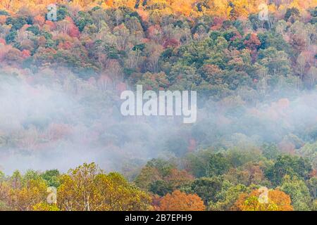 Nebelschwaden auf Waldbäumen in der ländlichen Landschaft in West Virginia nahe der New River Gorge im morgendlichen Herbstlaub Stockfoto