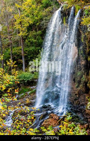 Appalachische Berge vertikaler Blick auf Den Wasserfall Des fallenden Frühlings und grüne gelbe Waldbäume in der ländlichen Landschaft Herbst in Covington, Virginia Stockfoto