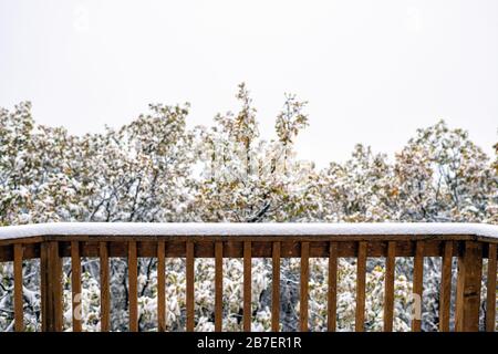 Aspen, Colorado Felsenberge und buntes Herbstlaub auf Eiche mit schneebedeckten Blättern und trübem weißem Himmel Stockfoto