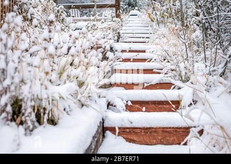 Aspen Colorado führt die Landschaftsgestaltung, die im Winter mit Schnee bedeckt ist, terrassenförmig entlang der Holztreppe hinauf, mit keiner Architektur des Gartenhinterhofes des Hauses Stockfoto