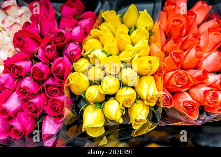 Viele verschiedene gelb-orange-rot-magenta-pink-violette Rosen Blumensträuße Blumenmuster in leuchtenden Farben Stockfoto