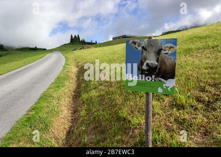 Beratungshinweis über Hundefouling auf Weiden, die von Kühen begradigt werden. Wanderweg in Tannegg, Lech, Österreich. Stockfoto