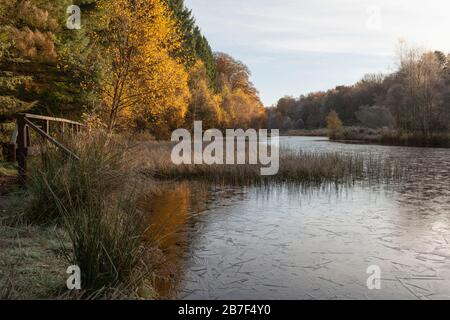 Herbstfarben in einem Blick vom Alton Brae Trail über Flight Pond auf dem Gelände von Castle Fraser, Aberdeenshire, an einem frostigen Morgen Stockfoto