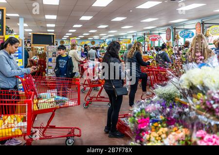 Reston, USA - 13. März 2020: Long Lines Queue in Trader Joes Laden mit Leuten per Einkaufswagen mit Lebensmittelprodukten, bezahlen in Kassiereregistern i Stockfoto