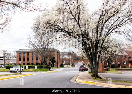 Stadt Fairfax, USA - 10. März 2020: Innenstadtbereich an der Universität und Courthouse fahren Straßenkreuzung mit Autos in Fairfax County mit Offi Stockfoto