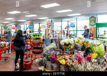 Reston, USA - 13. März 2020: Long Lines in Trader Joe's Store with People by shopping cart buying grocery products, paying at casser registers in pr Stockfoto