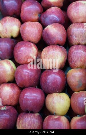 Obst und Gemüse auf biologischem Jahrmarkt-Foto Stockfoto
