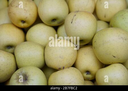Obst und Gemüse auf biologischem Jahrmarkt-Foto Stockfoto
