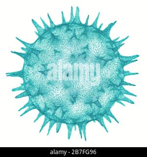 Konzeptioneller Veranschaulichungsvirus. Bild eines Virus, Erreger mit generischer Virusform. 3D-Abbildung. Stockfoto