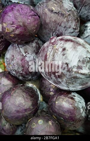 Obst und Gemüse auf biologischem Jahrmarkt-Foto Stockfoto
