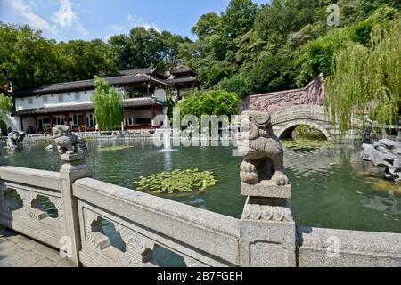 Park des gelben Kranturms: Gänsepeich. Wuhan, China Stockfoto