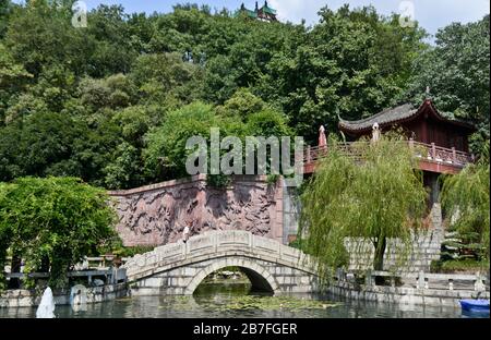 Park des gelben Kranturms: Gänsepeich. Wuhan, China Stockfoto