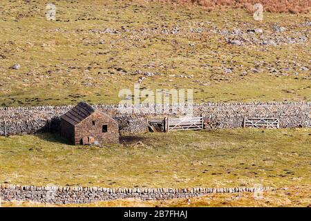 Eine Steinscheune und Schafe falten im Greenhow Gebiet von North Yorkshire Stockfoto