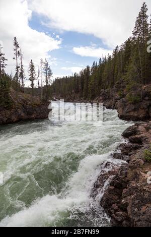 Der wilde Yellowstone River, der direkt über den Lower Falls im Yellowstone National Park, Wyoming, abfällt. Stockfoto