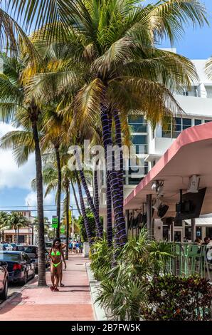 Alltag in Miami Beach, Miami, Florida, USA. Stockfoto