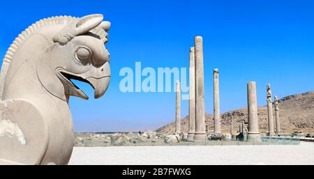 Steinskulptur von griffin und Säulen des Apadana-Palastes, erbaut von Darius dem großen, Persepolis, Iran. UNESCO-Weltkulturerbe Stockfoto