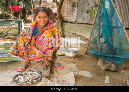 Eine bangladeschische Frau, die einheimische Fischarten säubert, die für schwangere und stillende Mutter eine sehr wichtige Quelle von Mikronährstoffen ist. Stockfoto