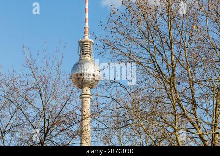 Berliner Fernsehturm hinter Bäumen. Symbol der deutschen Hauptstadt, mit drehbarem Restaurant & ikonischem Ambiente. Wahrzeichen. Stockfoto