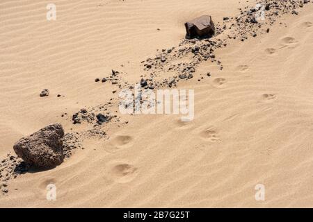 Nahaufnahme der Wüstendünen der Skeleton-Küste am Morgen in Namibia mit Pow-Drucken. Stockfoto