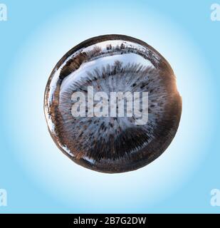 360-Grad-Mini-Planetenpanorama von einem verschneiten Winterwald in Finnland. Schneebedeckte Felder und Sonnenlicht treffen in Abendlicht auf die Bäume. Stockfoto