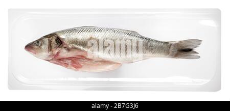 Vakuumgepackte, frische Meeresbass, luftdicht versiegelt, durch Kunststoff, um die Haltbarkeit zu verlängern und die Frische zu bewahren oder um die Draufsicht zu frieren Stockfoto