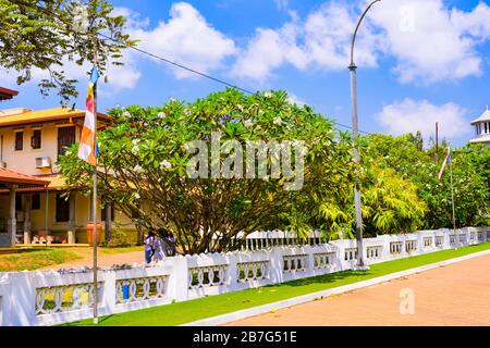 Sri Lanka Anuradhapura Sri Maha Bodhi Baum Tempel Schrein Komplex Original Schneiden 3. Jahrhundert v. Chr. Prinzessin Sanghamitta Klostergebäude Flaggen Stockfoto