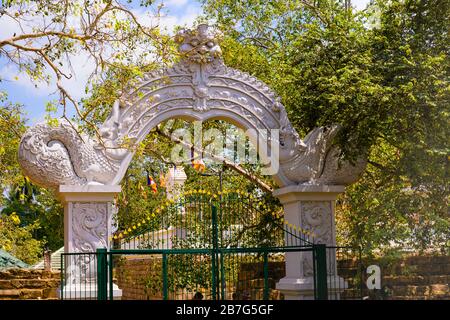 Sri Lanka Ceylon Kulturdreieck Anuradhapura Eingangstor Sri Maha Bodhi Tree Tempelkomplex original aus dem 3. Jahrhundert v. Chr. Prinzessin Sanghamitta Stockfoto