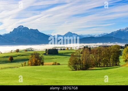 Am frühen Morgen im östlichen Allgäuer bei Rieden mit einem Nebelmeer über Forggensee an einem sonnigen Herbstmorgen Stockfoto