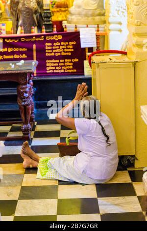 Sri Lanka Kandy Singhala alte Hauptstadt Sri Dalada Maligawa Tempel des Heiligen Zahns Relikt Buddhistischer Buddhismus Innere ältere Anbeter grauen Haaren Stockfoto