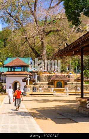 Südasien Sri Lanka Kandy Singhala Central Province alte Hauptstadt Vishnu Devale Schrein Bäume Fahnen Buddha Figuren Elefanten Zeichen Stupa Bogen Straße Stockfoto