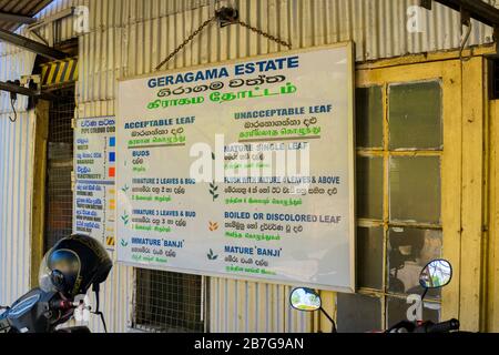 Südasien Sri Lanka Geragama Estate Tea Factory Zeichen Führer zu Blatt Sorten akzeptabel Rohr Farbcodierung Protokoll Wasserentwässerung Strom Stockfoto