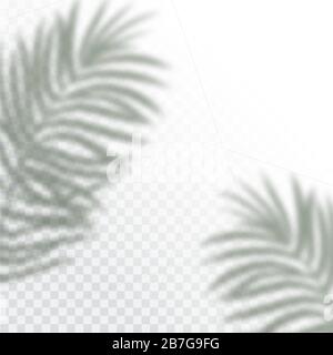 Transparente Schatten tropischer Blätter. Der Schattenüberlagerungseffekt. Hintergrund tropischer Pflanzen. Palmenblätter, Dschungelblatt. Das Poster zum Verkauf und ein Stock Vektor