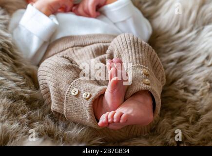 Kleine Feets eines Neugeborenen ( eine Woche alt ) Stockfoto