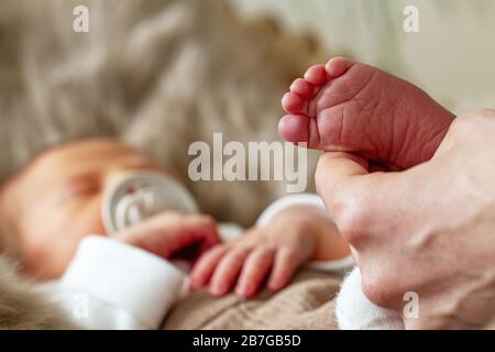 Kleine Feets eines Neugeborenen ( eine Woche alt ) Stockfoto