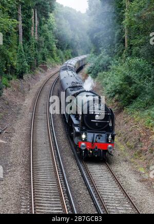 Die Dampflok Nummer 60163 Tornado zieht einen Sonderzug auf der Hauptbahn in der Nähe von Bournemouth, England. Stockfoto