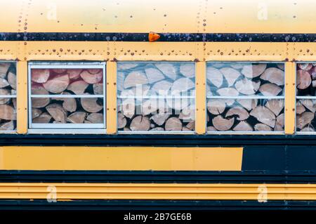 Gehacktes Holz für Brennholz, das in einem alten Schulbus in Neufundland gelagert wird. Stockfoto