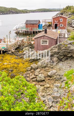 Die Prime Liegeplatz Fischerei & Heritage Centre, in der Nähe von Twillingate, Neufundland. Stockfoto