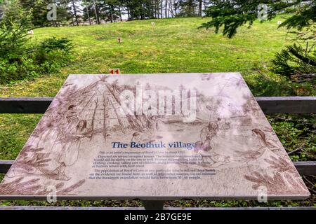 Ein interpretierendes Zeichen vor dem Ort des ausgegrabenen Dorfes Beothuk in Boyd's Cove, Neufundland. Stockfoto