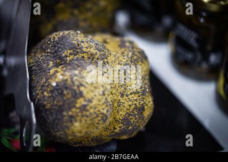 Frische Trüffel aus nächster Nähe Stockfoto
