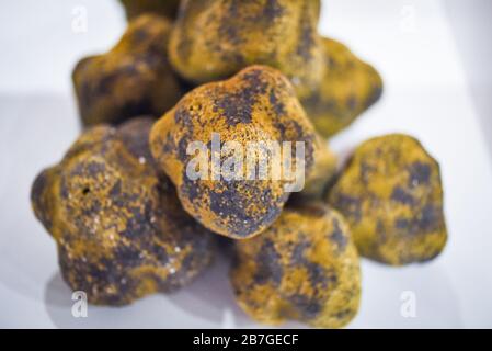 Frische Trüffel aus nächster Nähe Stockfoto