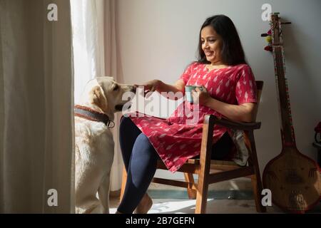 Frau sitzt am Fenster und spielt mit ihrem Hund. Stockfoto