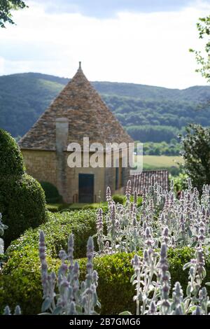 Stachys byzantina fangen Sonnenlicht, Box topiary parterres, traditionelle französische Nebengebäude, Blick auf Landschaft darüber hinaus, Les Jardins de Marqueyssac Dordogne Stockfoto