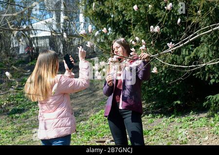 Junge Frau macht Selfie auf dem Hintergrund der weißen Magnolienblumen im Stadtpark. Botanischer Garten Von Fomin. Kiew, Ukraine Stockfoto