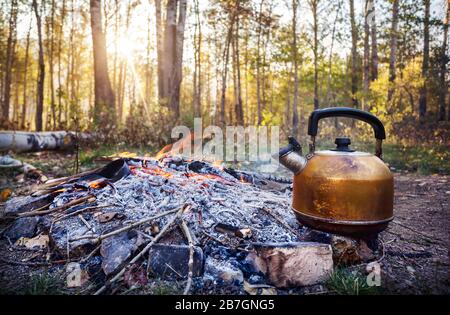 Rauchigen touristischen Wasserkocher auf Feuer im Wald am Morgen bei Sonnenaufgang Stockfoto